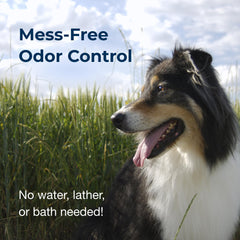 PetAg Fresh ’n Clean odor control concept highlighting room freshness.