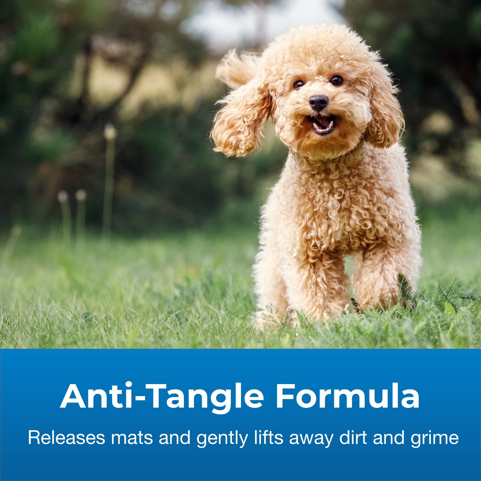 PetAg Fresh ’n Clean Waterless Shampoo applied on dry coat to help untangle.