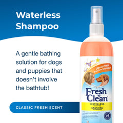 PetAg Fresh ’n Clean Waterless Shampoo spray-on application demonstrates quick coat refresh.