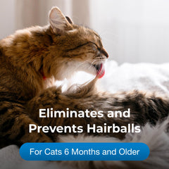 PetAg Hairball Solution Gel cat gel tube aids smooth dosing and digestive movement.