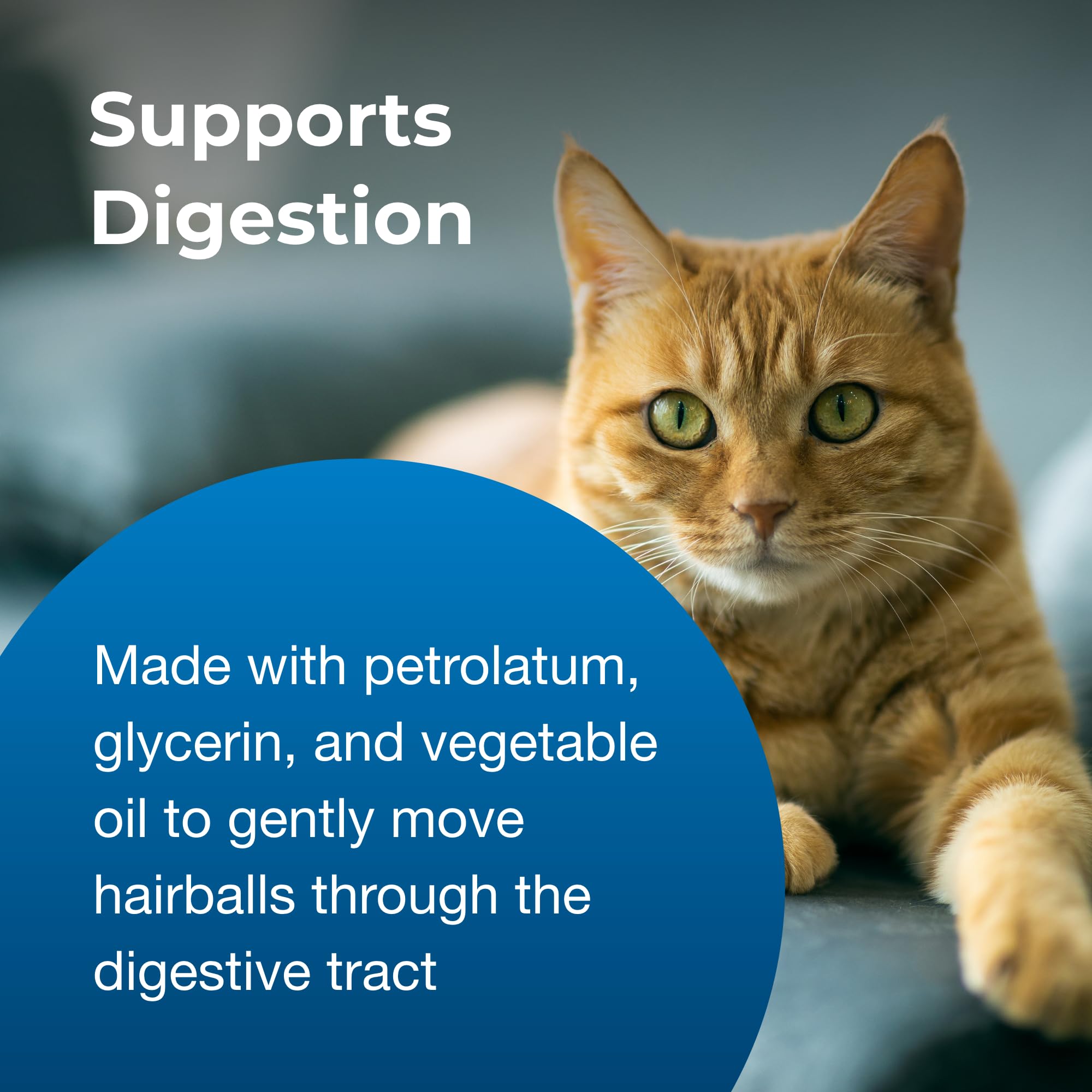 PetAg Hairball Solution Gel packaging highlights pack-of-two convenience.