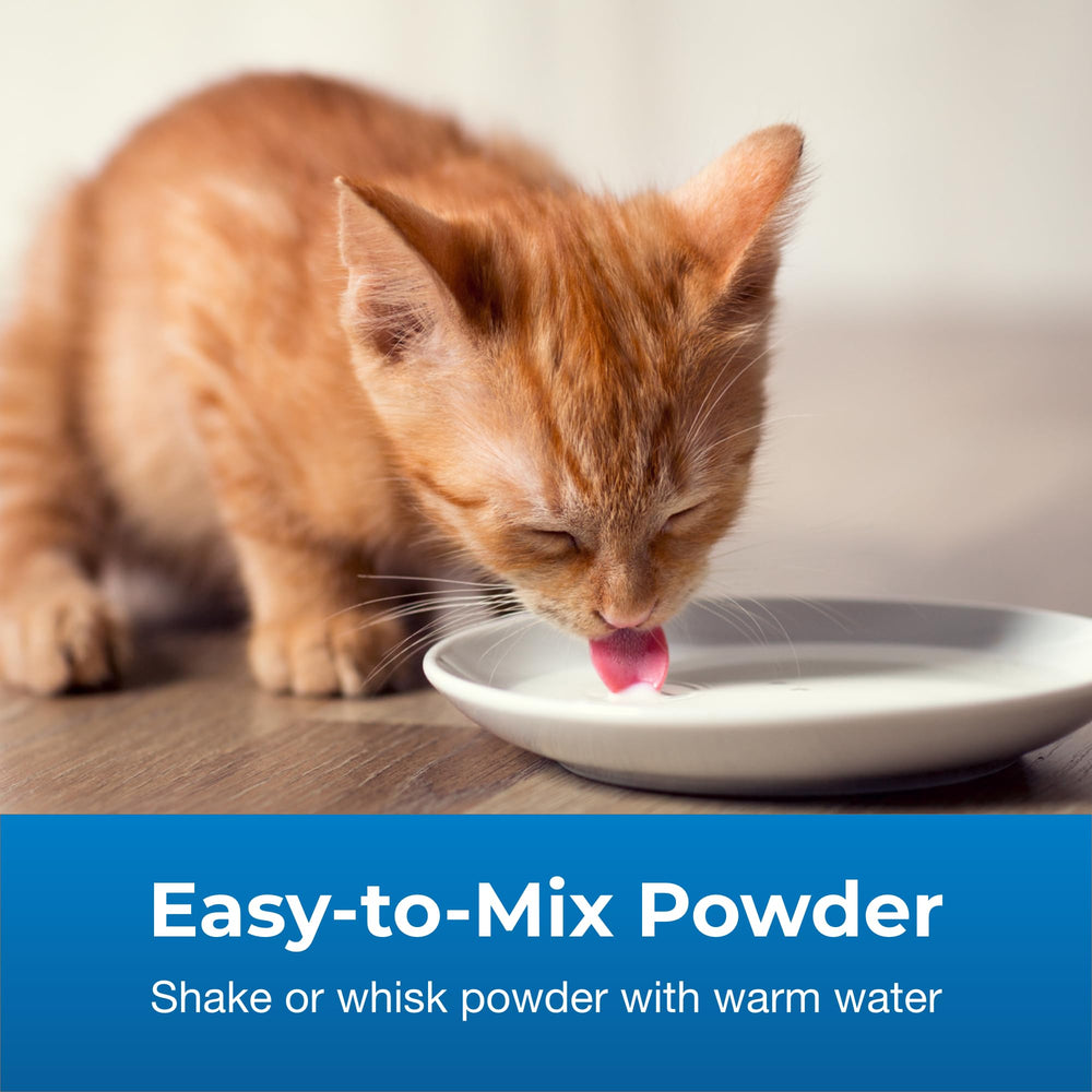 PetAg KMR 2nd Step easy mixing method for fresh formula