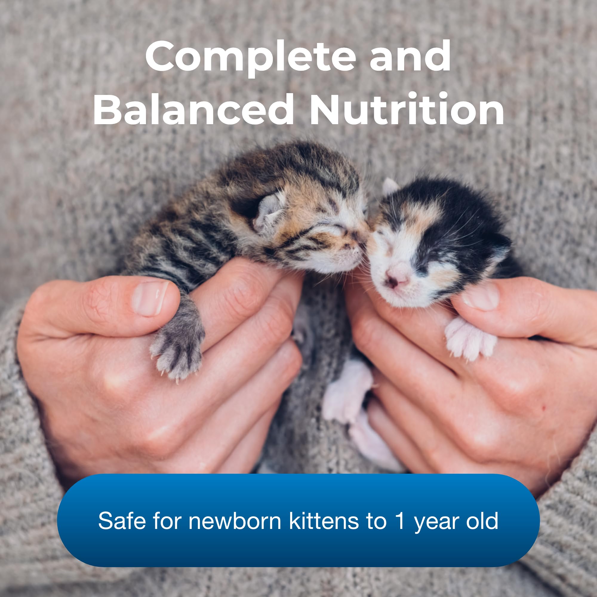 PetAg KMR easy-digest powder with fiber blend promotes gentle digestion in kittens.