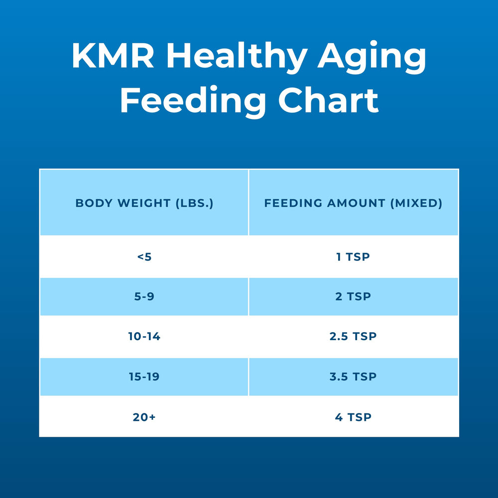 PetAg KMR Healthy Aging bottle beside a bowl, highlighting convenient feeding options.