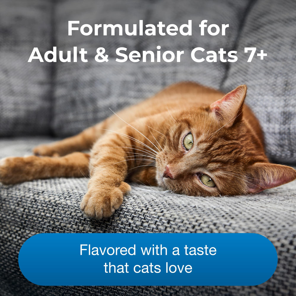 PetAg KMR Healthy Aging sprinkled on cat food for convenient feeding.