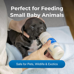 PetAg Nurser bottle with clear gradations for easy intake monitoring.