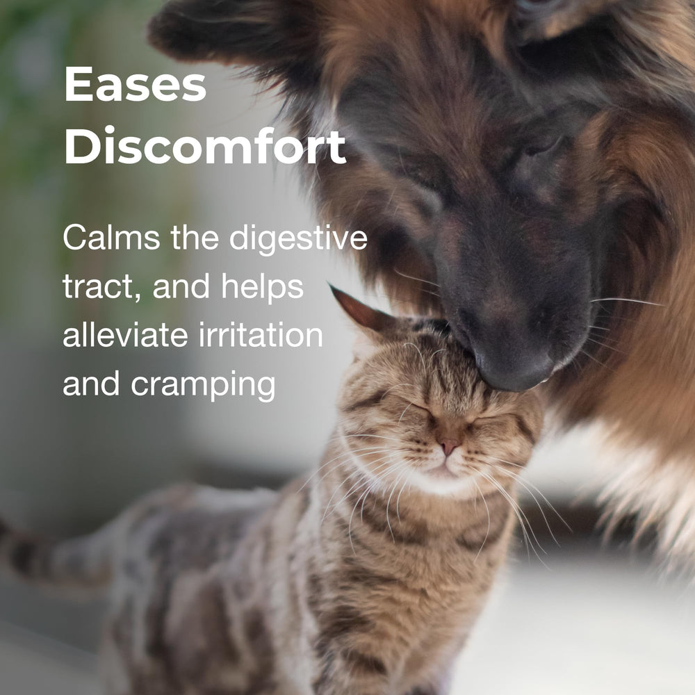 PetAg Pet Pectillin electrolyte-replenishment appears to aid hydration and stool management.