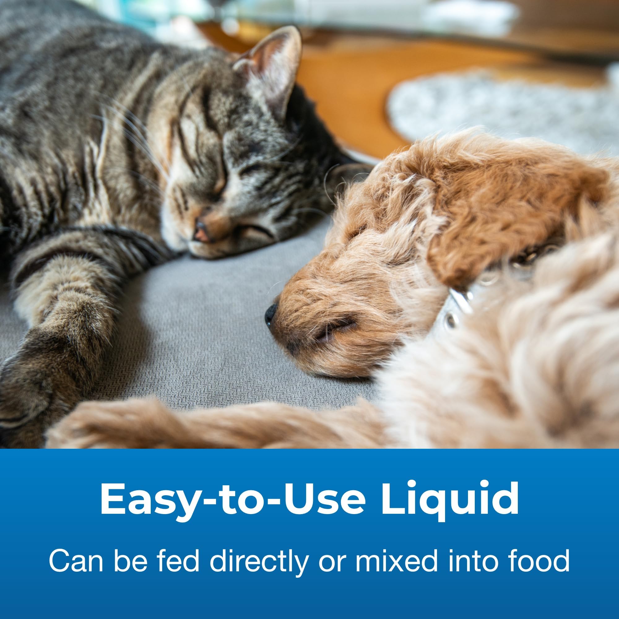 PetAg Pet Pectillin mixed-with-food demonstrates convenient administration during mealtime.