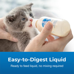 Kittens enjoy PetLac milk that is easy to digest
