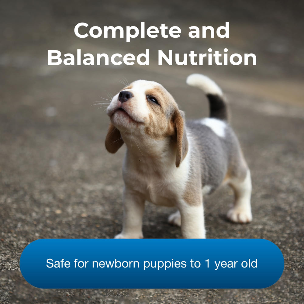 Dissolving PetLac in warm water creates an easy-to-digest puppy milk mix.