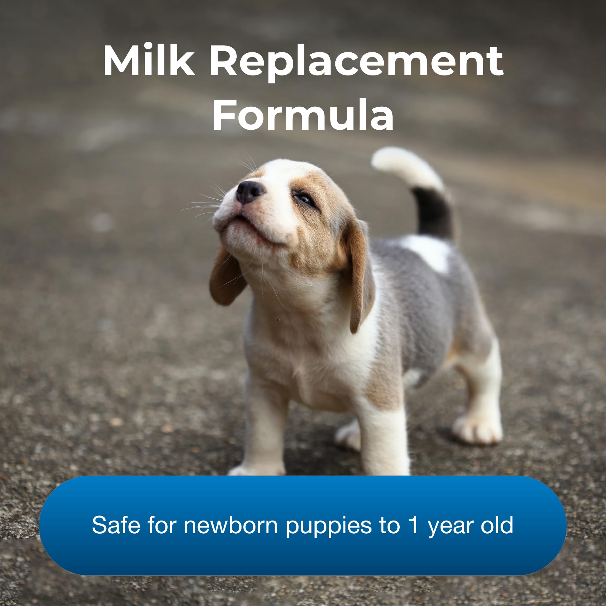 PetLac resealable Tetrapak packaging keeps formula fresh for multiple puppies.