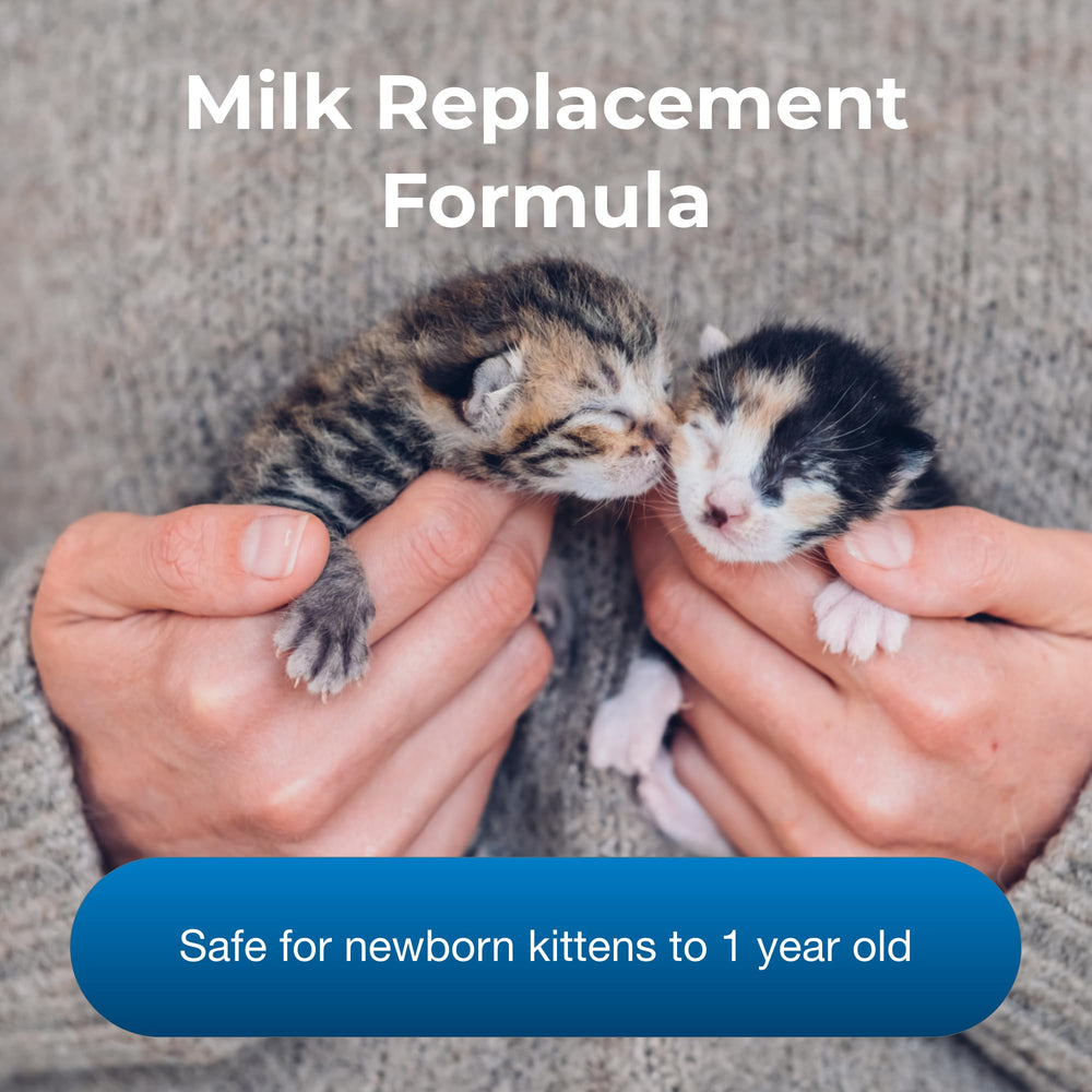 Sealed Tetrapak packaging of PetLac preserves freshness for kittens