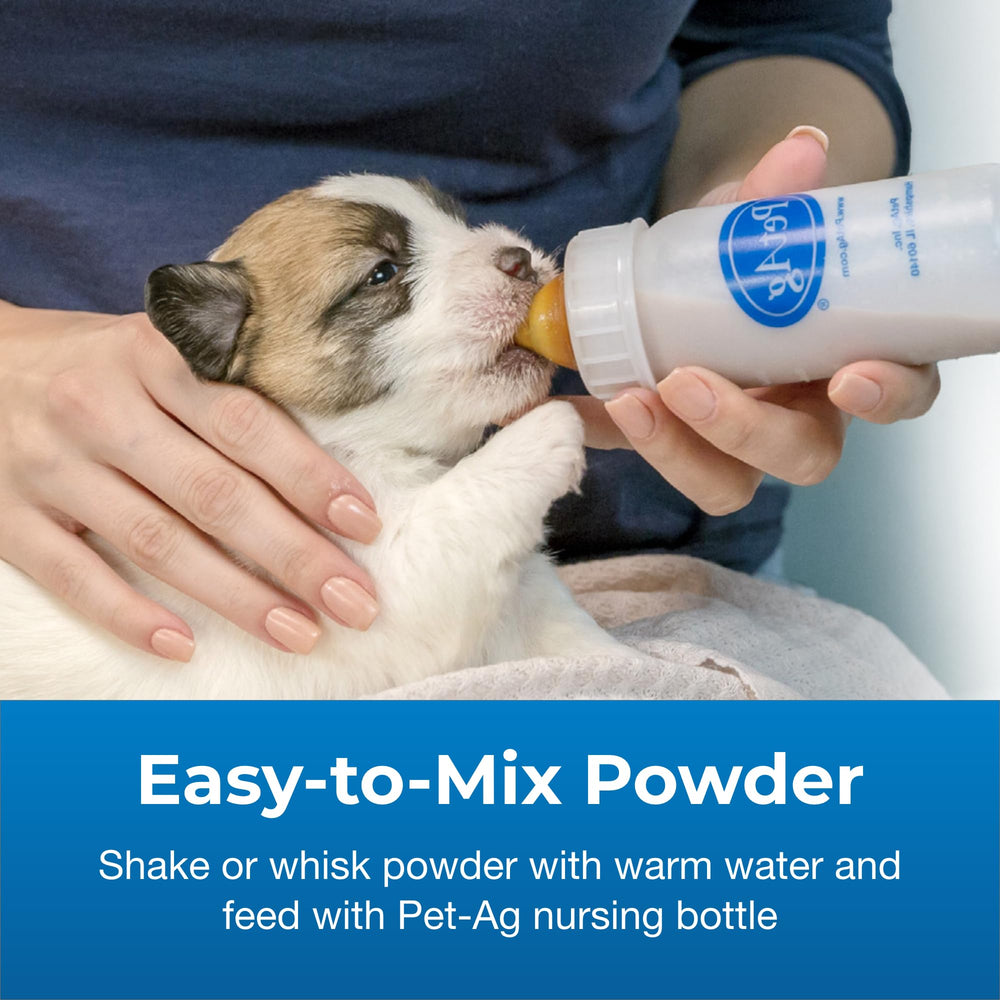 PetAg puppy feeding time image highlights gentle, palatable formula for growing pups.