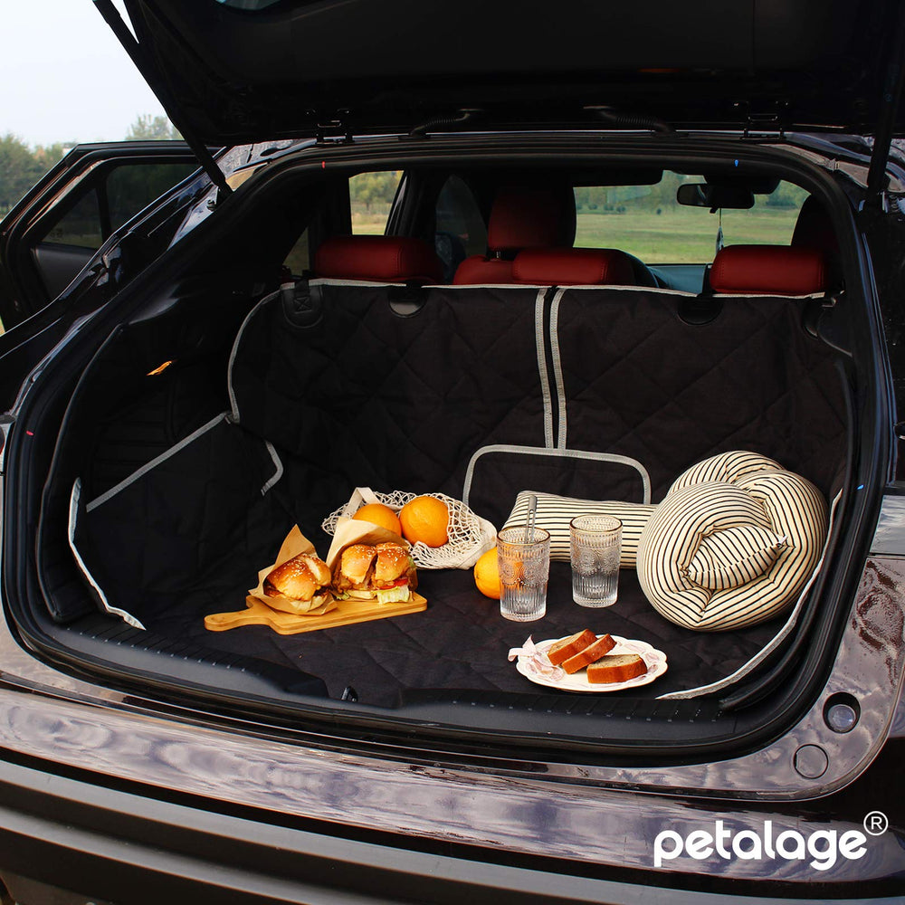 Petalage 3-year satisfaction guarantee provides risk-free car protection for your vehicle.