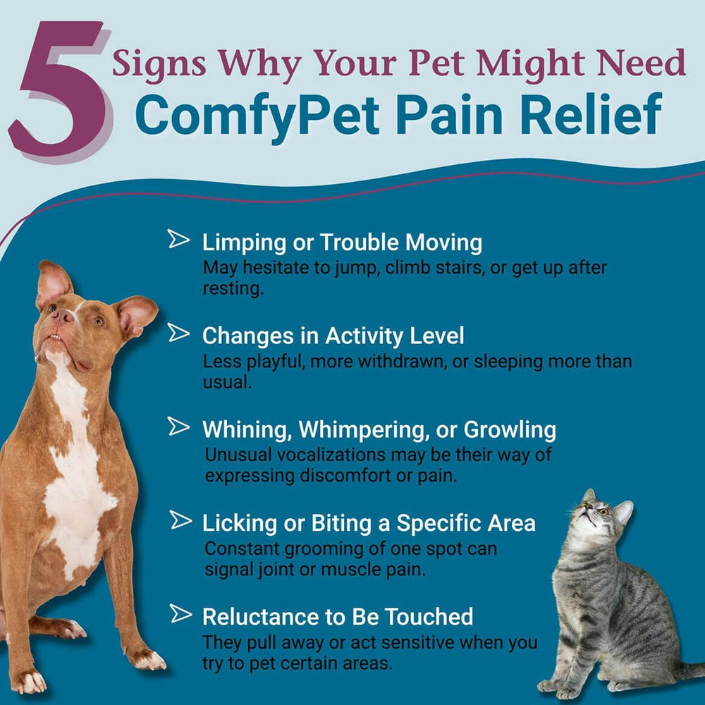 PetAlive ComfyPet Pain Relief Drops with dog on a walk suggesting mobility support