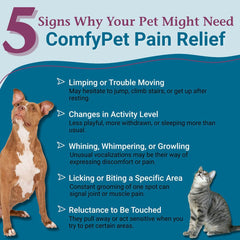 PetAlive ComfyPet Pain Relief Drops with dog on a walk suggesting mobility support
