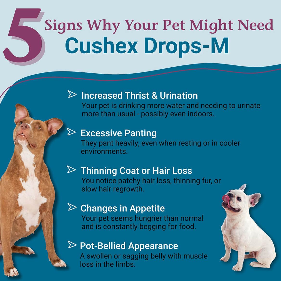 PetAlive Cushex Drops-M dropper enables easy dosing for pets.