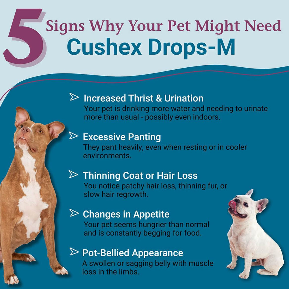 PetAlive Cushex Drops-M dropper enables easy dosing for pets.
