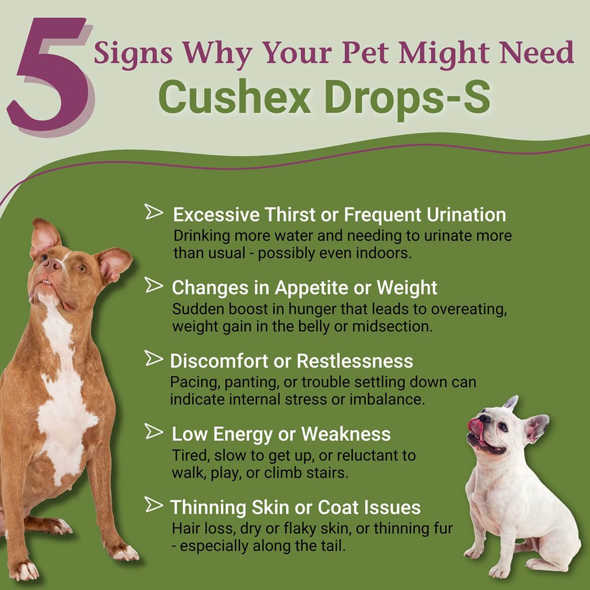 PetAlive Cushex Drops-S bottle cap close-up emphasizing easy dosing for pets.