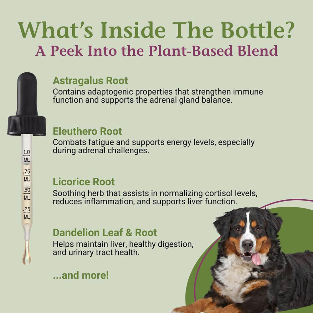 PetAlive Cushex Drops-S herb blend illustration emphasizing natural adrenal support.