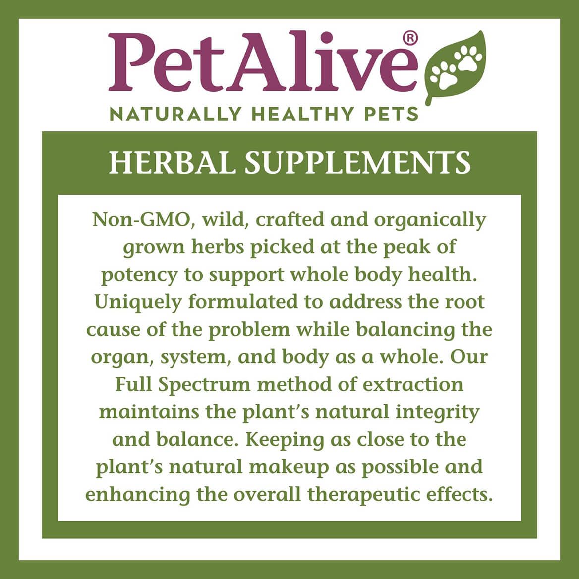 PetAlive Cushex Drops-S usage scene with a cat ready for administration.