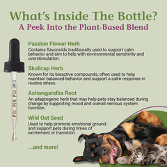 EaseSure-S bottle on counter ready for pet care