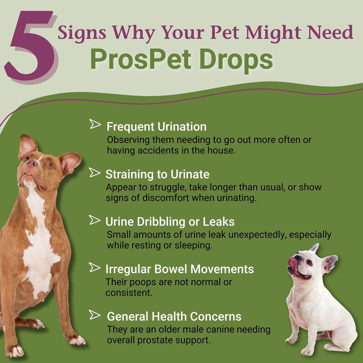 PetAlive ProsPet Drops bottle open with dropper for easy dosing.