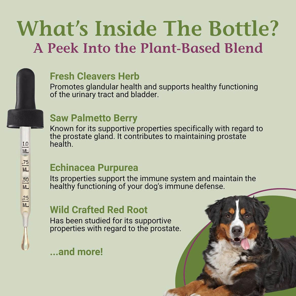 PetAlive ProsPet Drops used with a dog for bladder support.