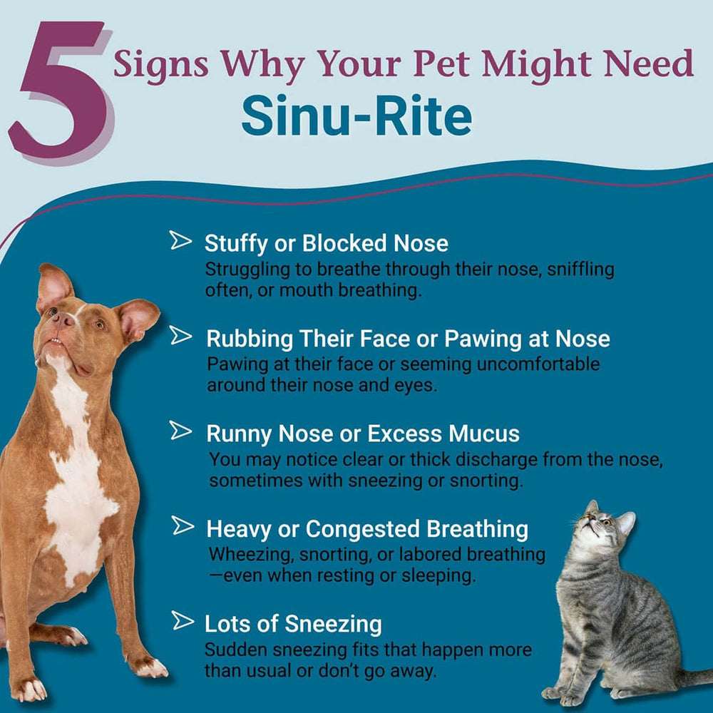 PetAlive Sinu-Rite tablets close-up, easy to administer on moist food.