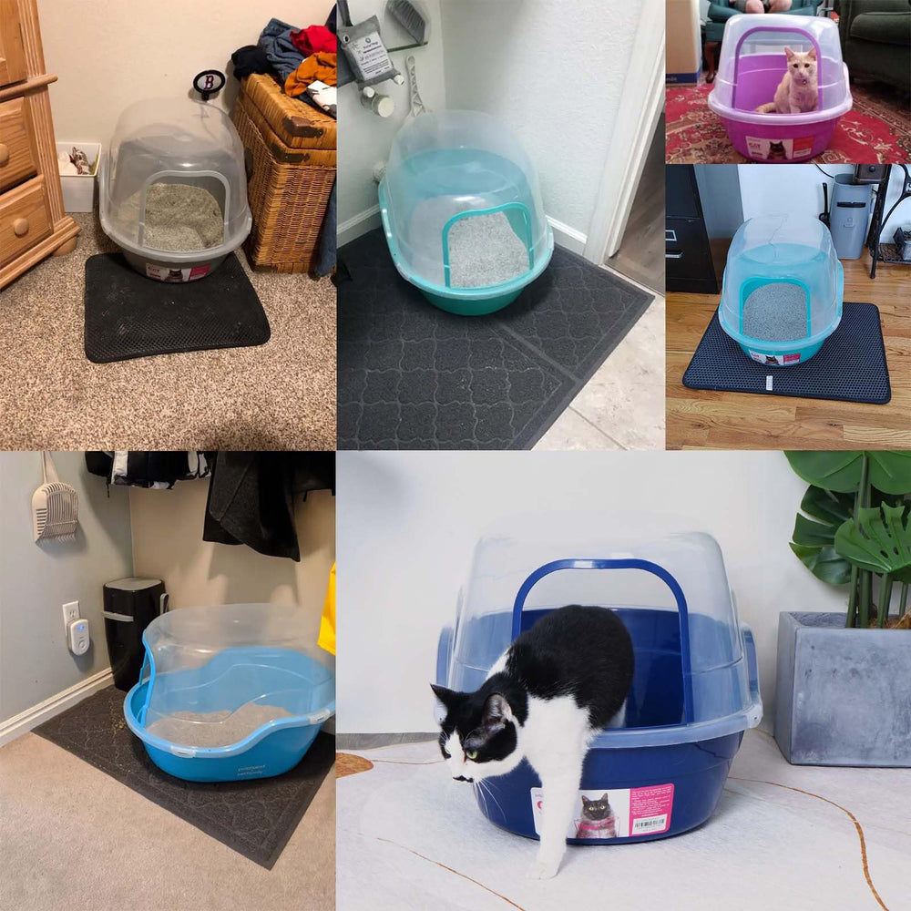 Petalphabet navy blue hooded litter box blends style and practicality.