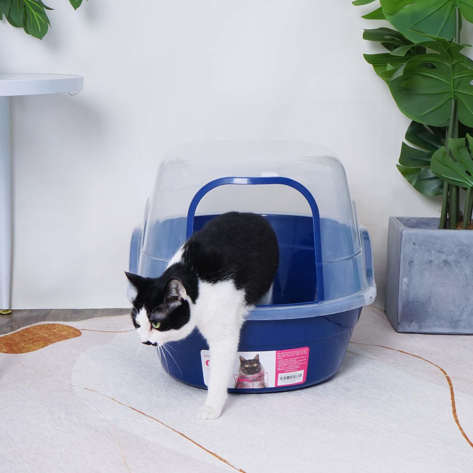 Petalphabet non-stick plastic finish simplifies cleaning.
