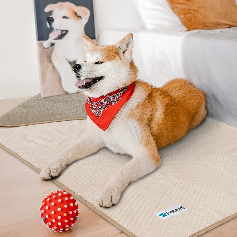 PetAmi 40x60 size shown, ideal for medium to large dogs.