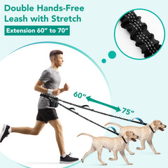 PetAmi adjustable waist belt for dogs, secure and comfortable during outdoor activities.