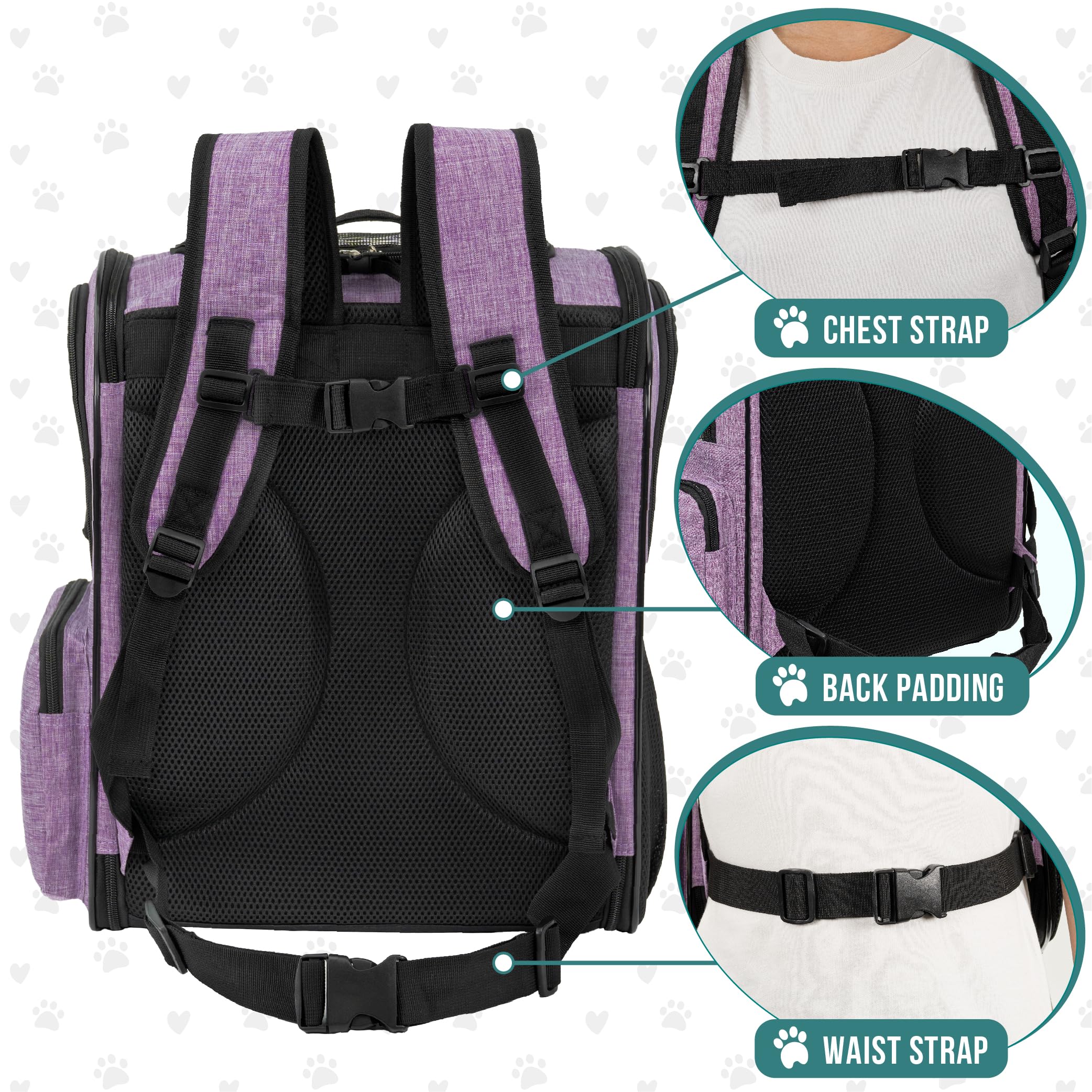 PetAmi airline-approved carrier keeps travel compliant and secure.
