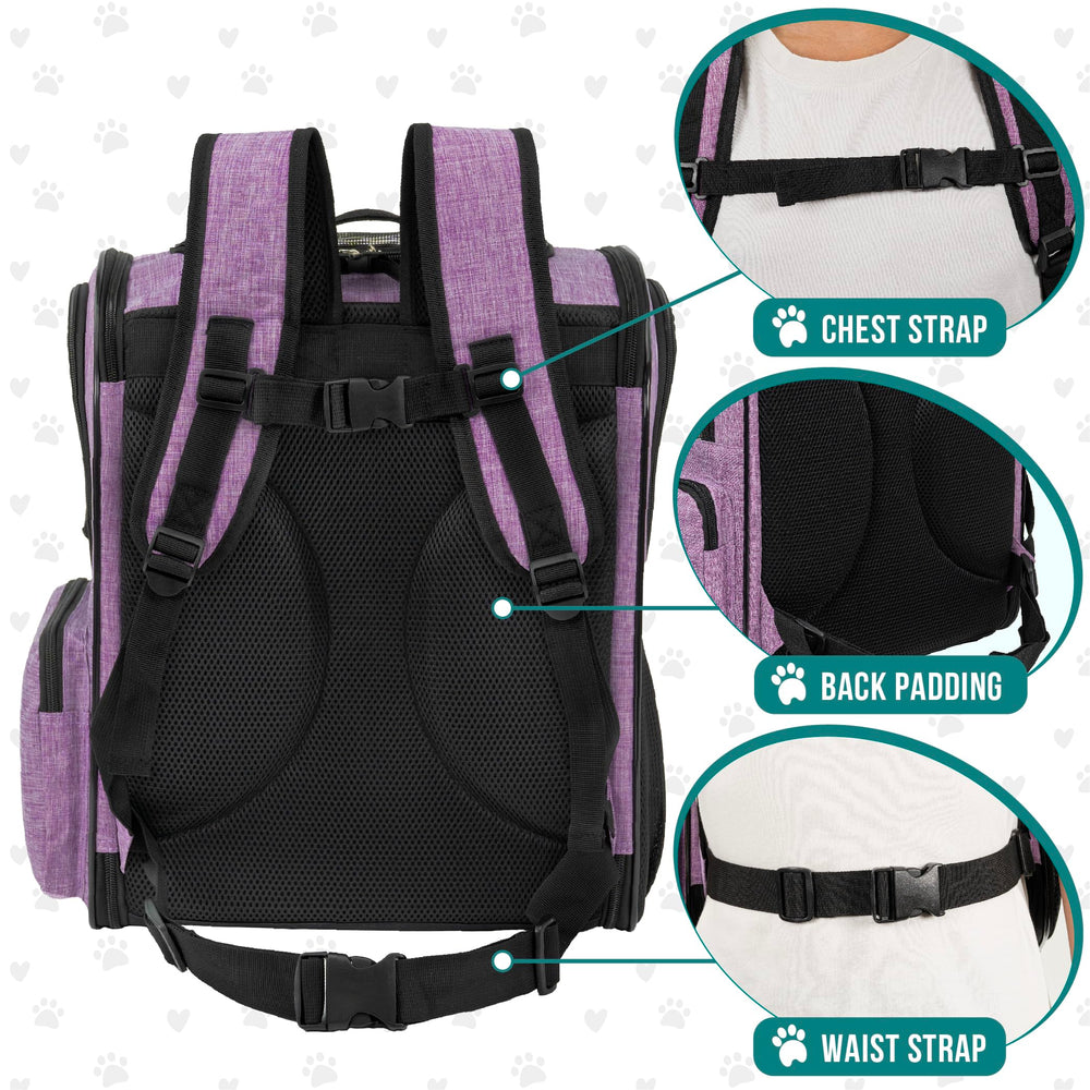 PetAmi airline-approved carrier keeps travel compliant and secure.