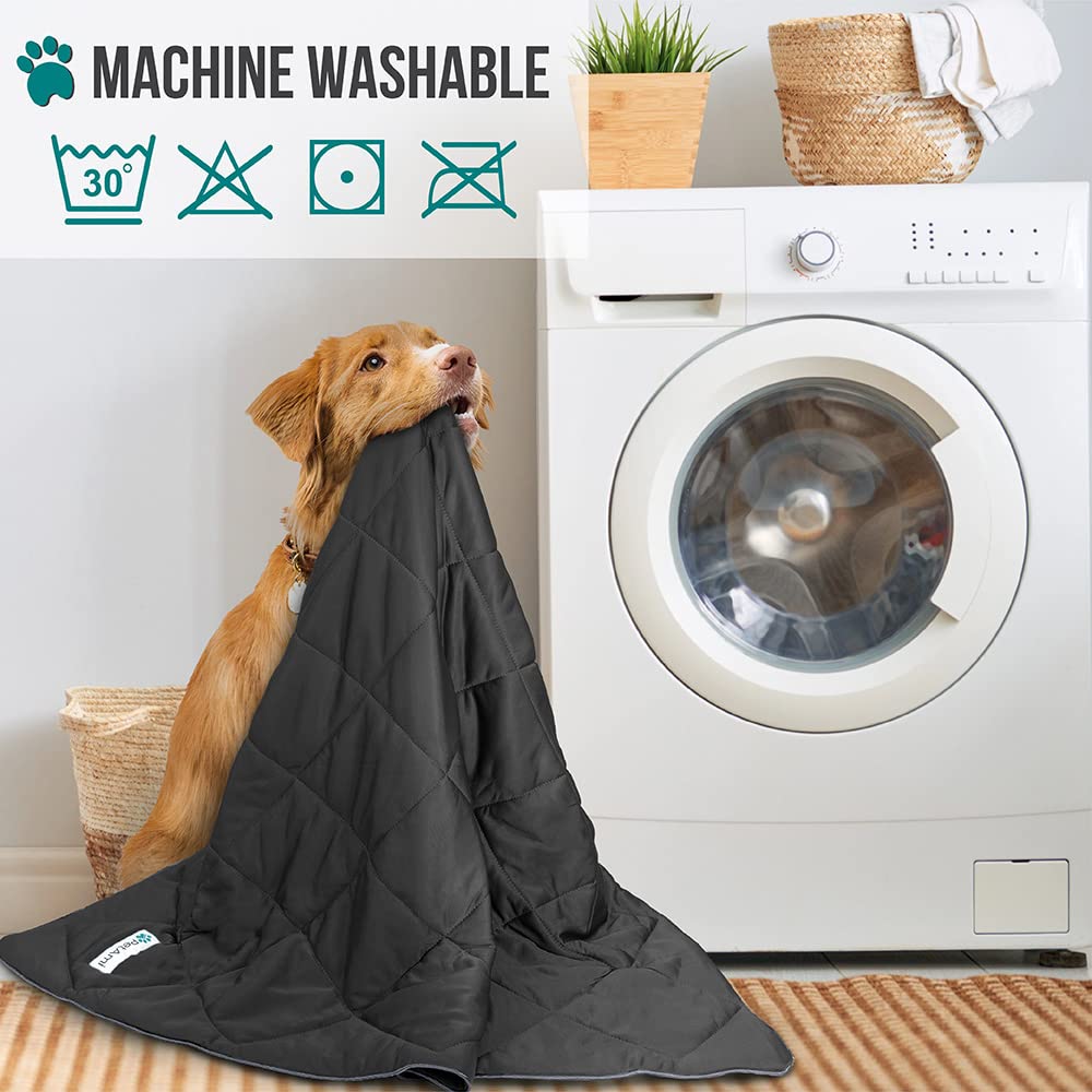 PetAmi car blanket provides pet comfort and interior protection.