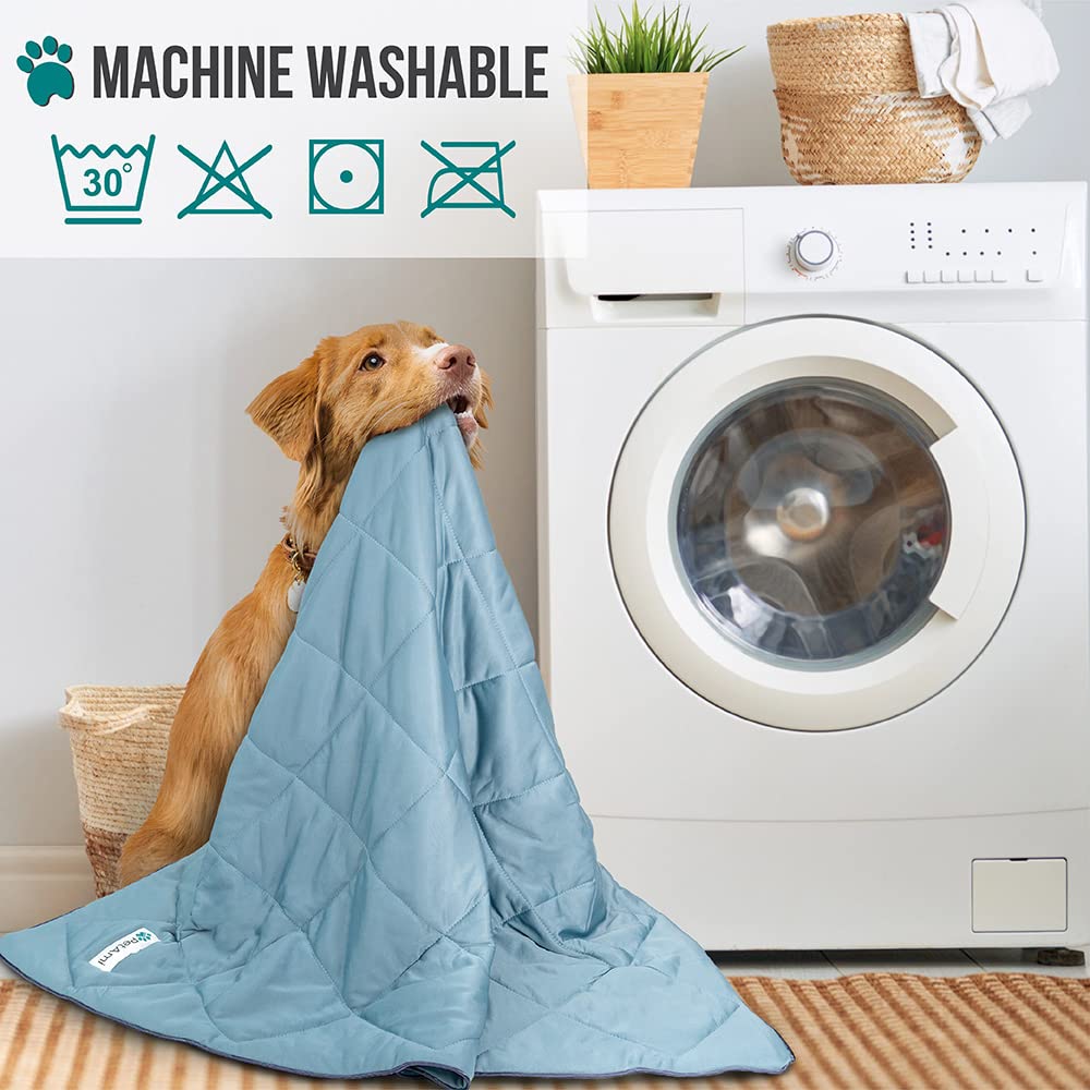 PetAmi blanket in car showing versatile travel comfort for pets.