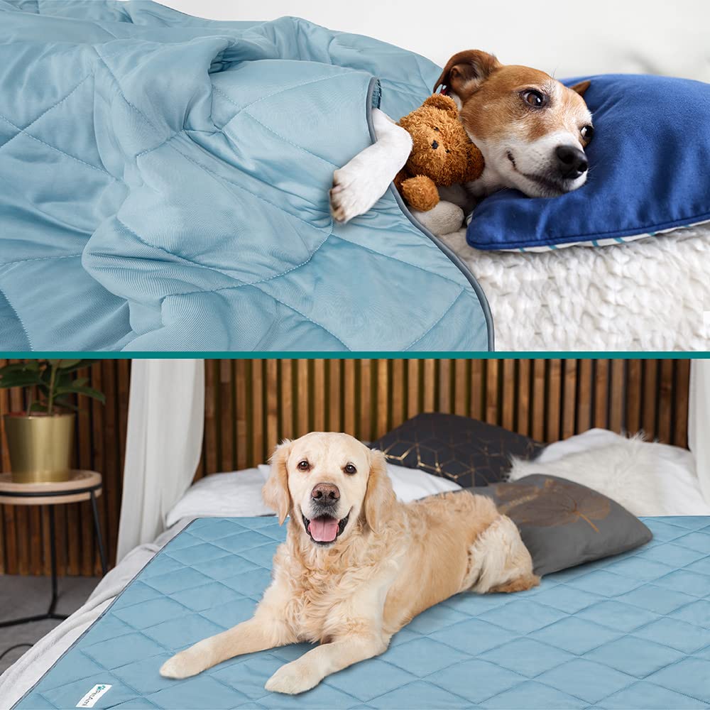 PetAmi cooling plush blanket close-up highlighting plush texture.