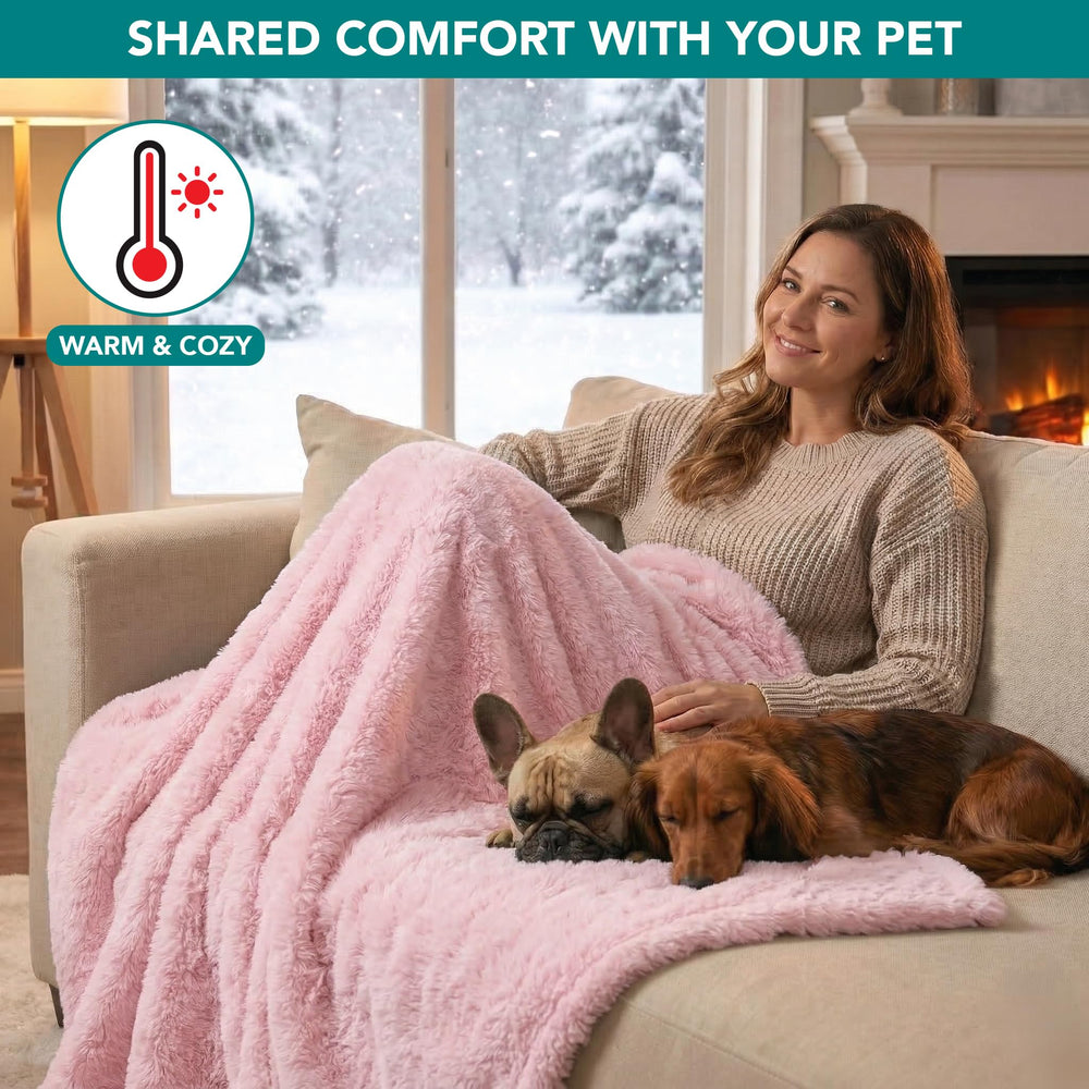 Blanket laid as a couch cover to guard furniture from paws and fur.