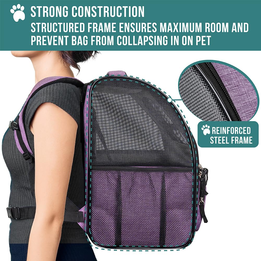 PetAmi backpack dimensions 12.5 x 10.2 x 16.3 inches.