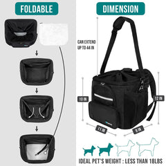 PetAmi interior with safety leash shows added pet security during rides.