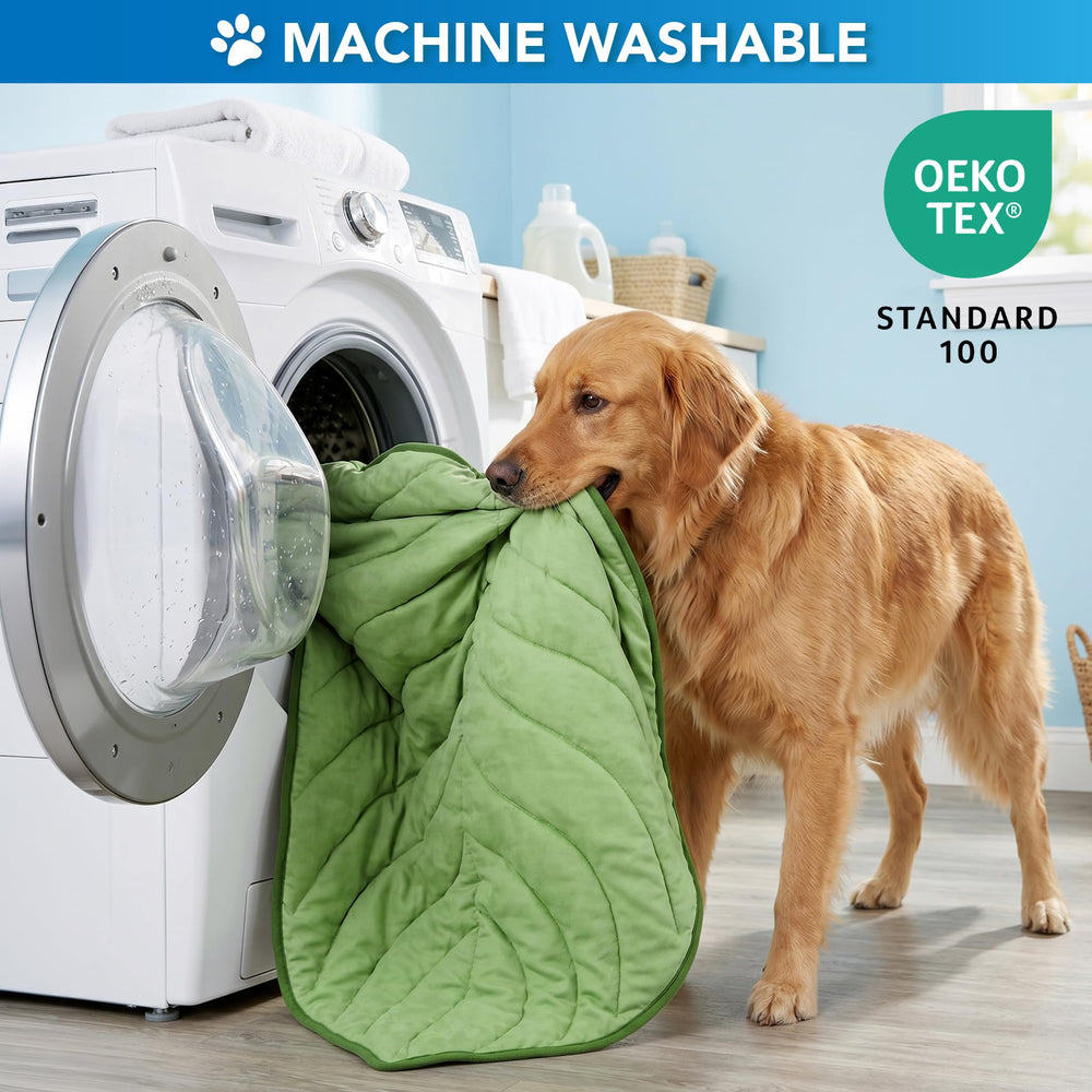 Machine washable PetAmi mat for easy cleaning and everyday freshness.