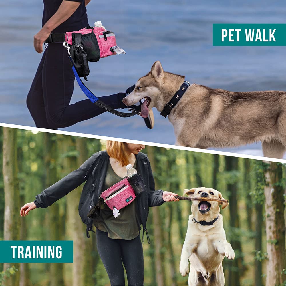 PetAmi reflective stitching enhances visibility during low-light outings.