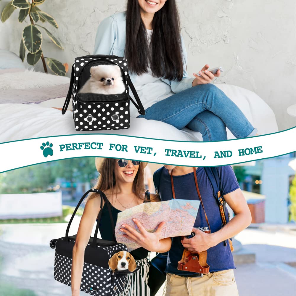 PetAmi airline approved under-seat carrier fits most planes.