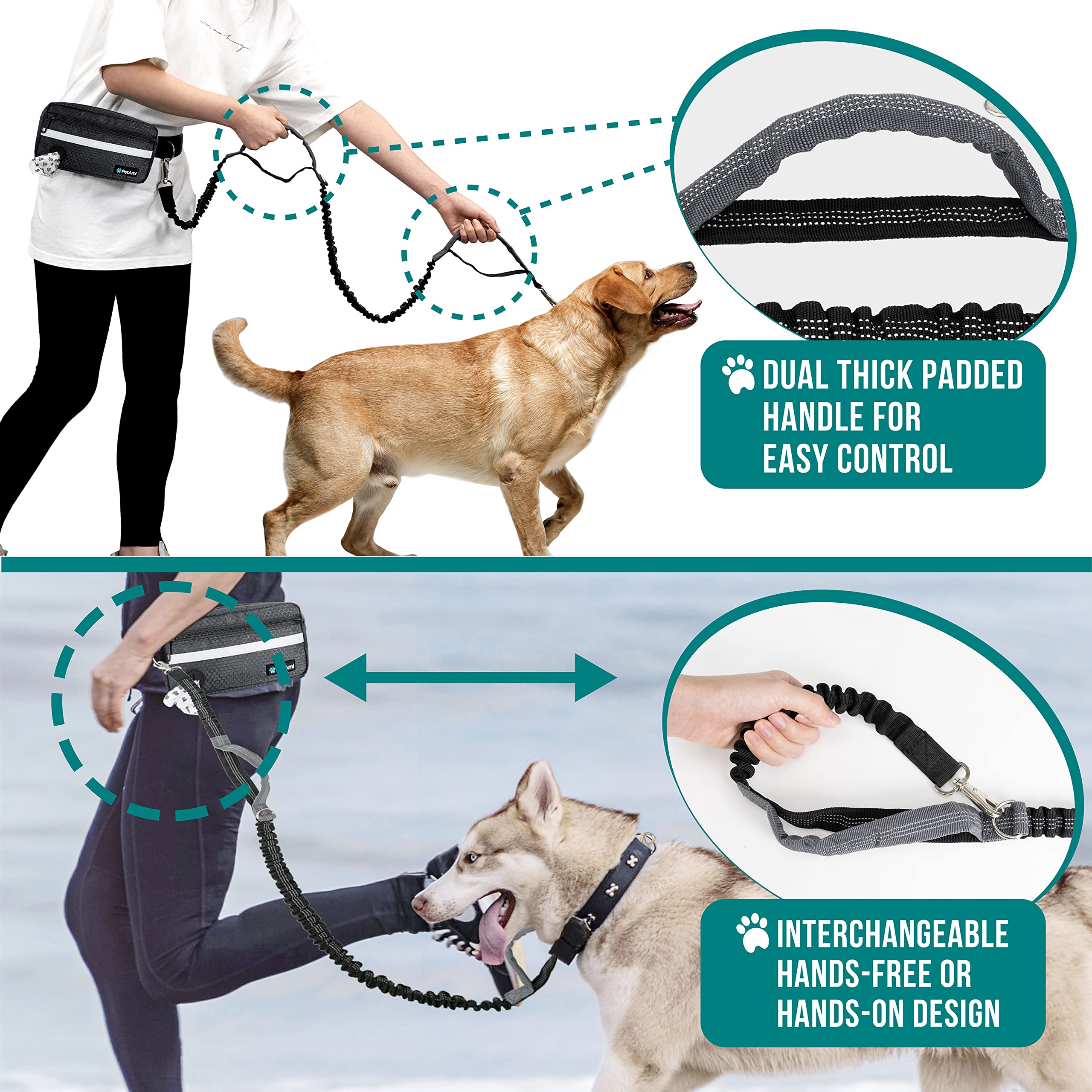 PetAmi double clip supports walking two dogs with one belt.