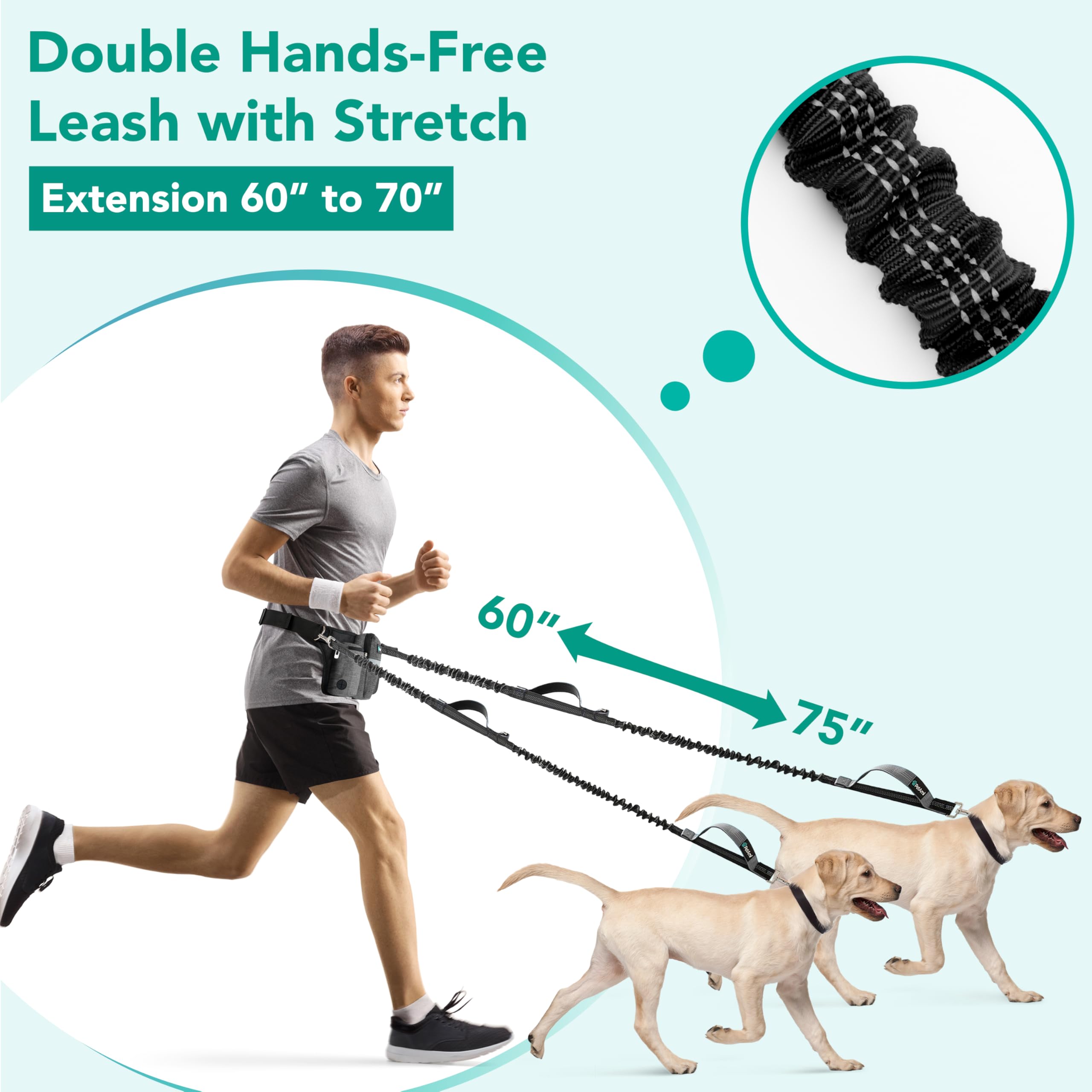 Dual bungee leash with reflective stitching for safe night jogging with dogs