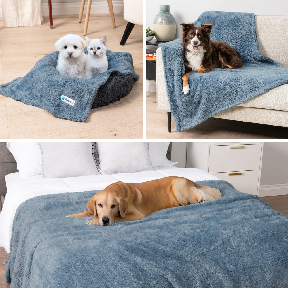 PetAmi durable stitching designed to withstand daily pawing