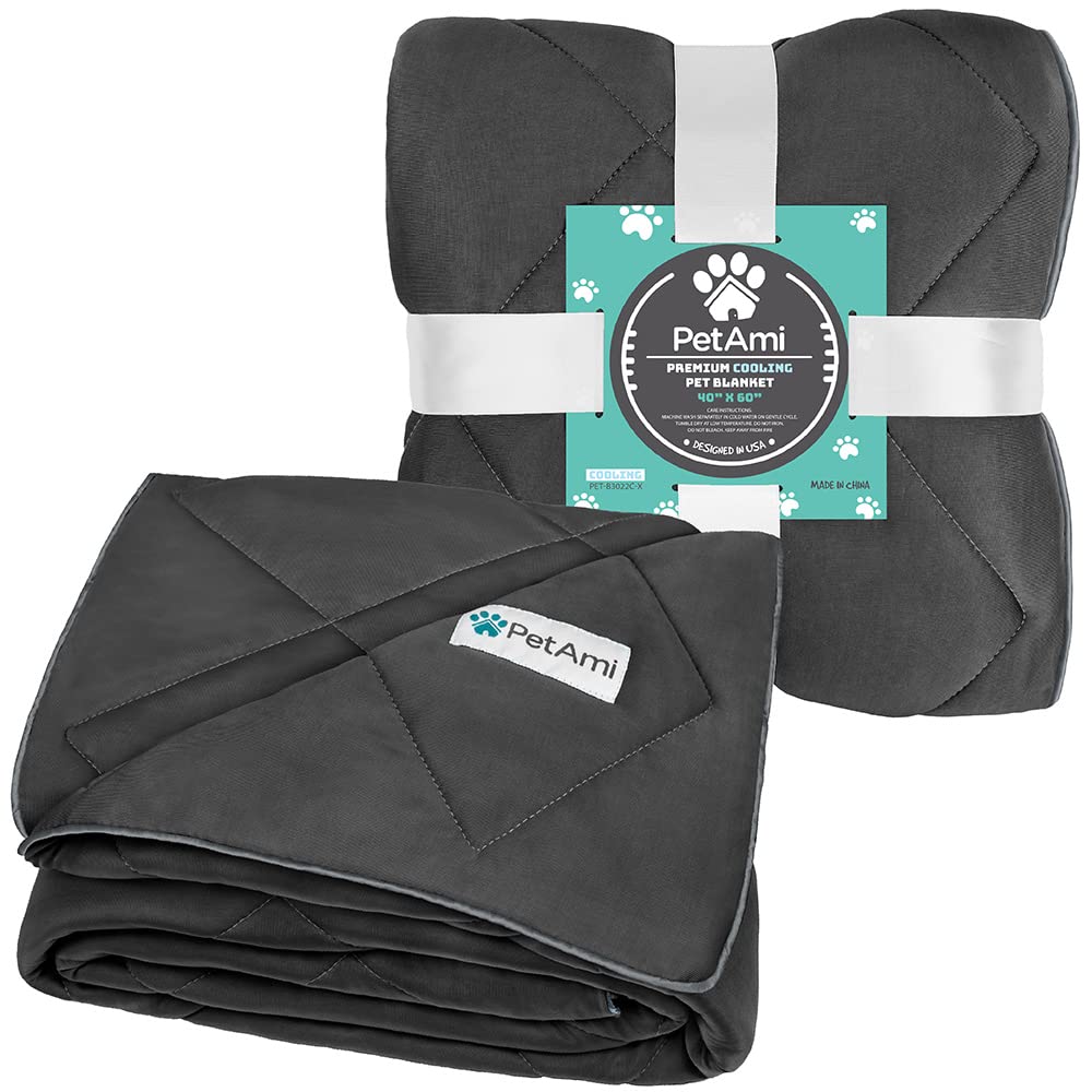 PetAmi blanket shields furniture from shedding and dirt.