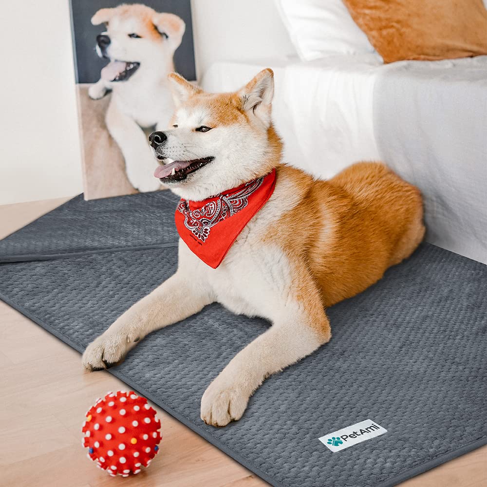 PetAmi machine-washable blanket ready for quick cleanups after outdoor adventures.