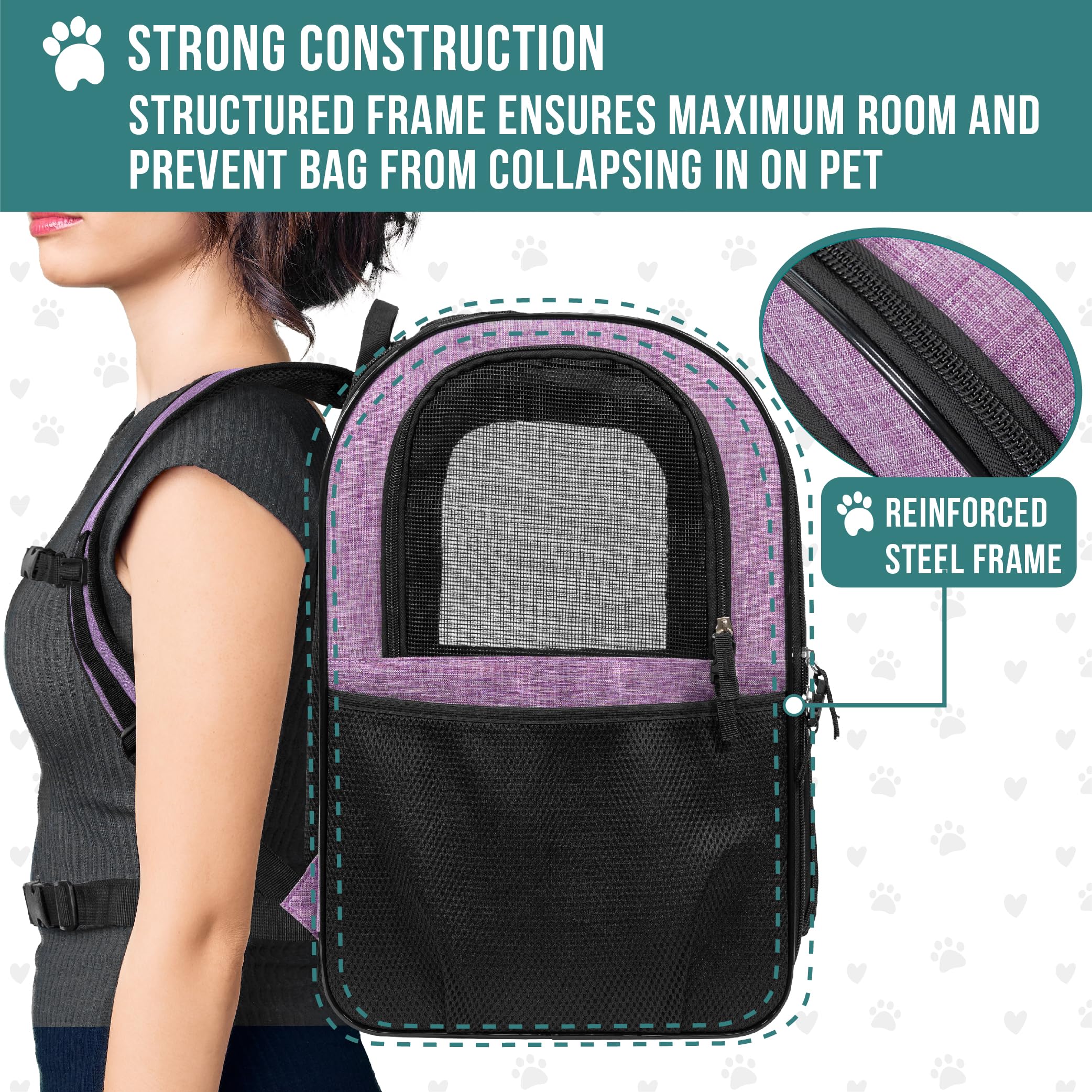 PetAmi padded back and straps improve comfort on long journeys.